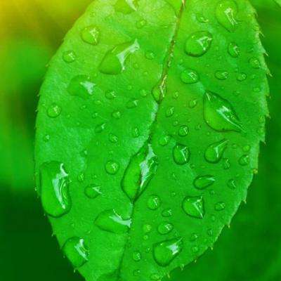 吉普车障碍驾驶